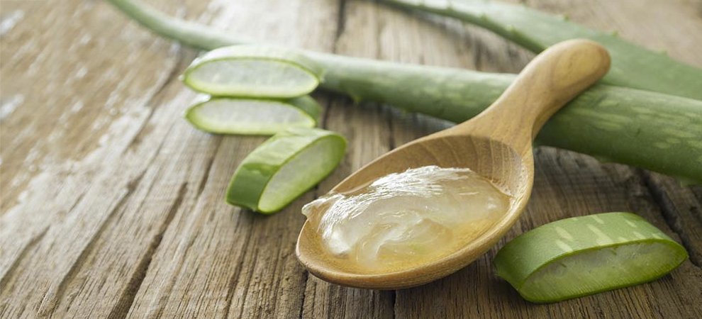 ALGUNOS BENEFICIOS DE LA SÁBILA (ALOE VERA)
